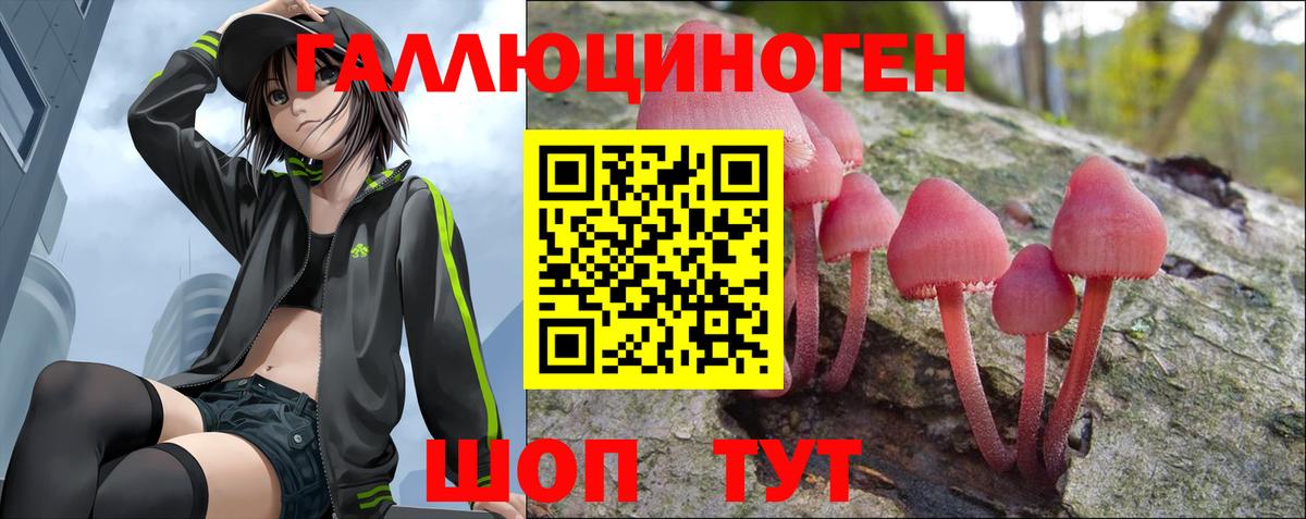 Учалы  Псилоцибиновые грибы прущие грибы  Вход с VPN 